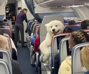 Private Jet Secrets