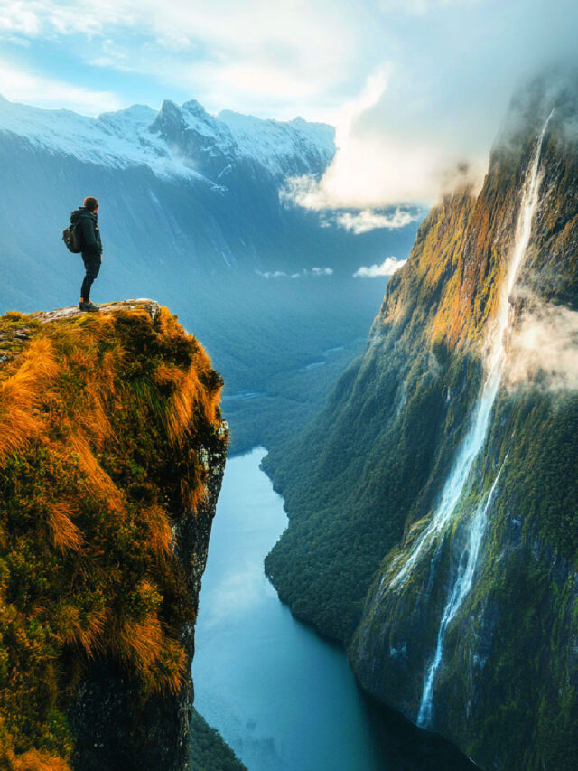 Best New Zealand Tour Companies