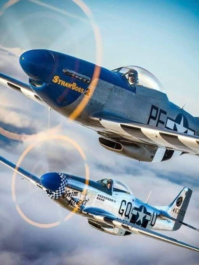 Mustang Fighter Aircraft: WWII’s Legendary Warbird.